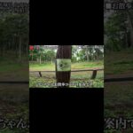 1770-5【キャンプ】【4K】2021年オープンキャンプ場！茨城県かすみがうら市 かすみがうらドッグ＆サイクル キャンプ場紹介(中編) #shorts
