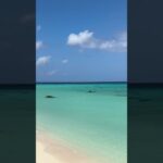 2023年 🌈17END✈️真っ白な砂浜に真っ透明の海！💕宮古島旅行♡