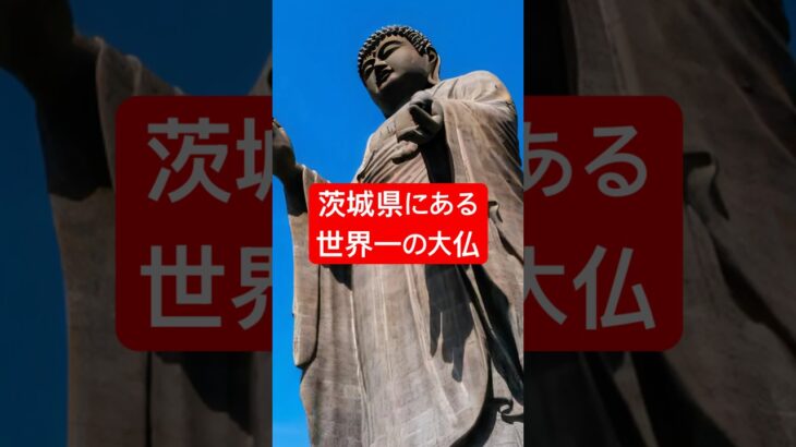 【1本の国道を全部歩くPart26】茨城県にある世界一の大仏 #国道408号線  #街歩き #牛久市 #茨城県   #おしゃべりひろゆきメーカー