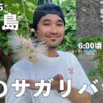 2023年 【2025宮古島サガリバ】早朝のお花見が気持ち良すぎた！！
