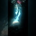 2023年 2025.7⭐︎青の洞窟／Sapphire Cave／宮古島・伊良部島