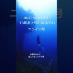 2023年 2025夏⭐︎八重干瀬人気のスキンダイビングポイント⭐︎ニライ15号#skindiving #miyakojima #yabiji  #八重干瀬 #freediving #snorkel