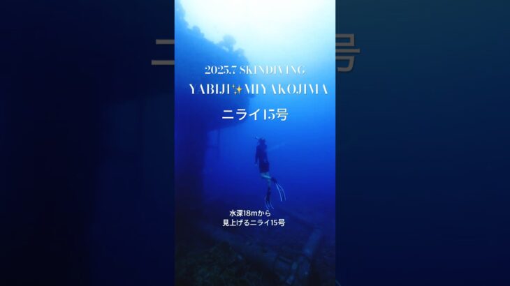 2023年 2025夏⭐︎八重干瀬人気のスキンダイビングポイント⭐︎ニライ15号#skindiving #miyakojima #yabiji  #八重干瀬 #freediving #snorkel