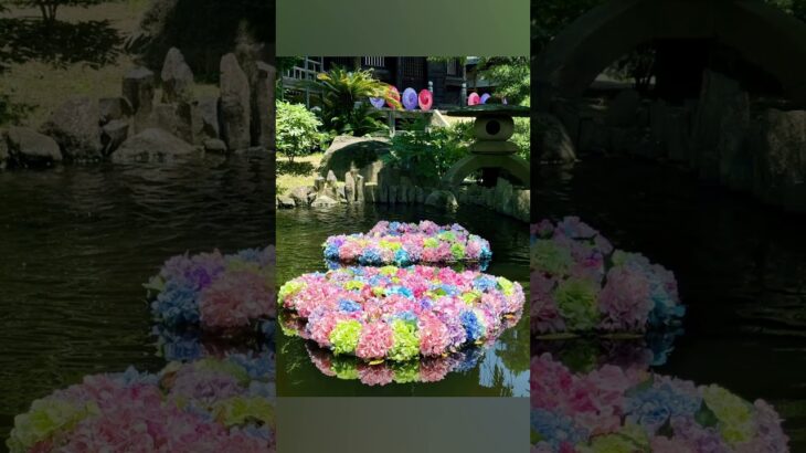 雨引観音　茨城県2025年6月