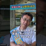 2023年 【7月7日 宮古島漁港朝市】 #山田ヨシヒコ #国民民主党  #全国比例は山田ヨシヒコ