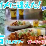 2023年 宮古島で亀に99%逢える海岸で亀と戯れモードand日本一美味しいガーリックシュリンプのお店へGo