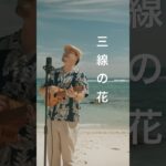 2023年 三線の花／BEGIN (宮古島ウクレレカバー) Masa. ここがどこのビーチか分かる人いますか？🏝️🌺