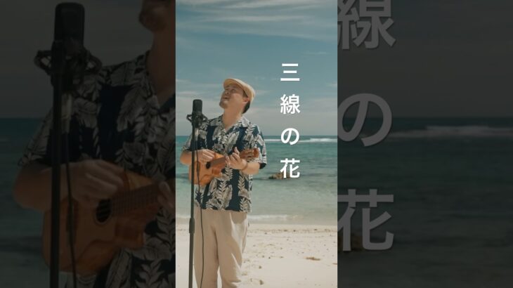 2023年 三線の花／BEGIN (宮古島ウクレレカバー) Masa. ここがどこのビーチか分かる人いますか？🏝️🌺