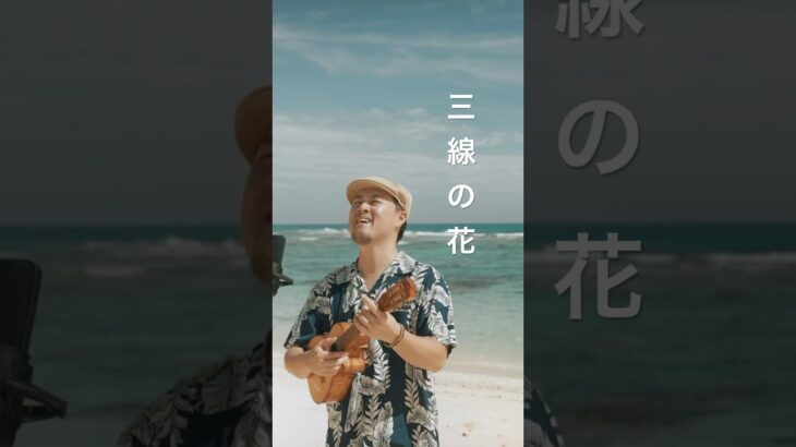 2023年 三線の花／BEGIN (宮古島ウクレレカバー) これから宮古島の絶景にウクレレカバーにのせて定期的に動画をUPしていきます🎥 リクエストあれば教えて下さい☺️🤙