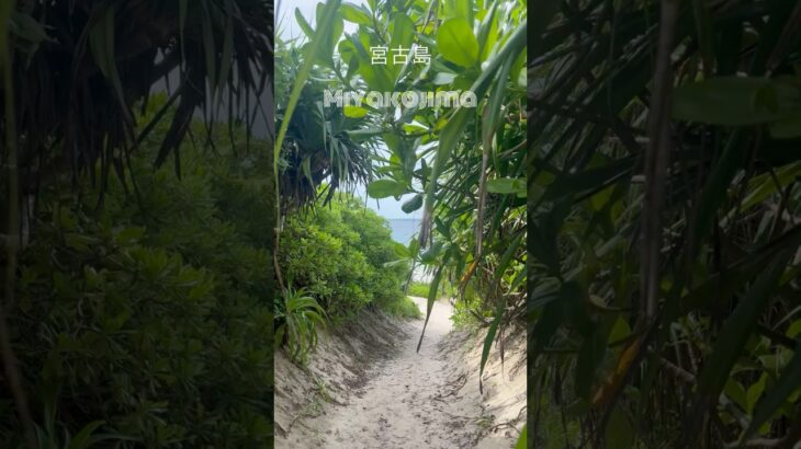 2023年 Beautiful escape’s all in Miyakojima  | 7月 2025 #砂山ビーチ #パチャビーチ #ひまわり畑 #宮古島 #沖縄離島 #夏旅 #travel #shorts