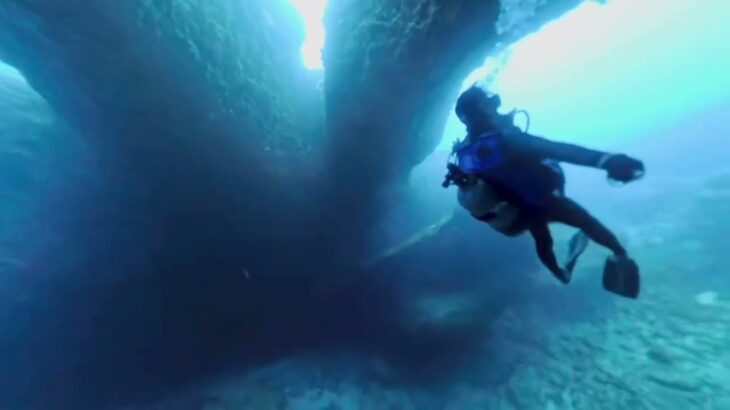 2023年 Miyako Island Scuba Diving  宮古島ダイビング