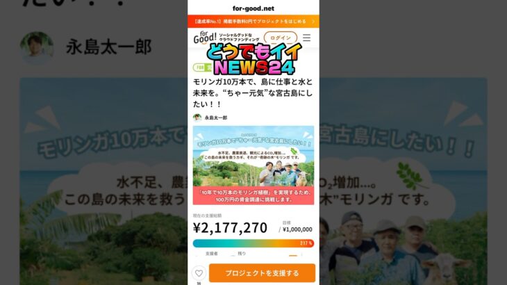 2023年 どうでもイイNEWS24#沖縄#宮古島#モリンガ#投資#クラウドファンディング