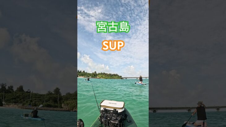 2023年 【宮古島でSUP】#SUP #fishing #カヤックフィッシング #宮古島 #ヒルトンホテル #伊良部島 #沖縄釣り #タマン #ロウニンアジ #fish