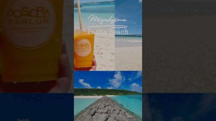 2023年 Travel & Discover Miyakojima’s Hidden Paradise | パチャビーチ|  宮古島の隠れビーチ #宮古島 #travel #shorts #沖縄 #japan