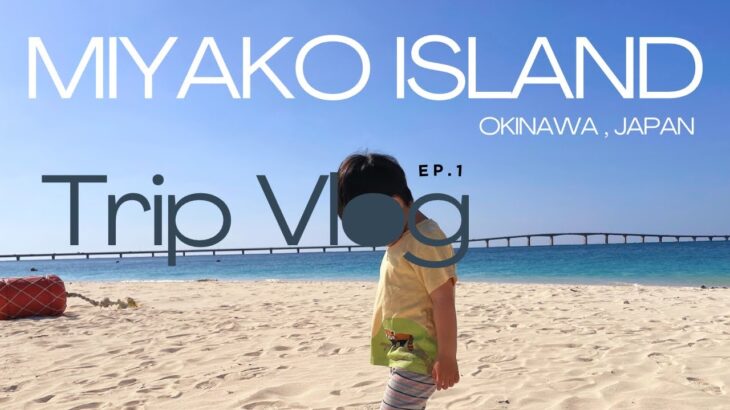 2023年 【沖縄 宮古島Vlog:前編】快晴！3泊4日/シギラリゾート/与那覇前浜/ガーリックシュリンプ/しゃぶ前屋/まもるくんetc…(2025.03)