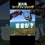 2023年 れっぱきたよー #釣り #fishing #リーフフィッシング #宮古島