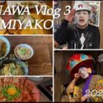 2023年 【in MIYAKO vlog③】2025.6月 #宮古島旅行 #宮古島グルメ #美ら島
