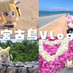 2023年 いなり寿司in宮古島￤2泊3日の写真記録
