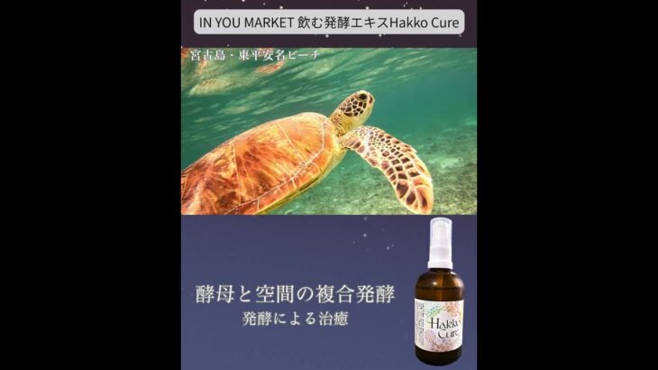 2023年 酵母と空間の複合発酵 宮古島・東平安名ビーチ #inyouマーケット #健康 #研究