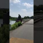 茨城県牛久市にある観光アヤメ園の風景 #lake