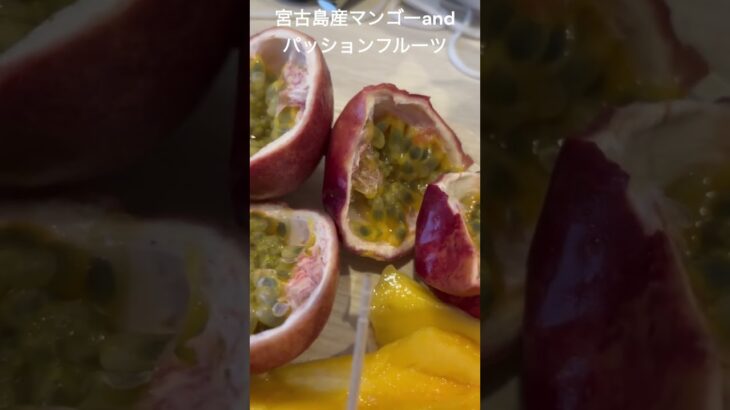 2023年 マンゴー　パッションフルーツ　宮古島産　mango passion fruit from Miyako island, Japan