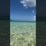 2023年 宮古島の岸辺より｜心をほどく波音　#miyakejima #okinawa #japan #beach #relaxing