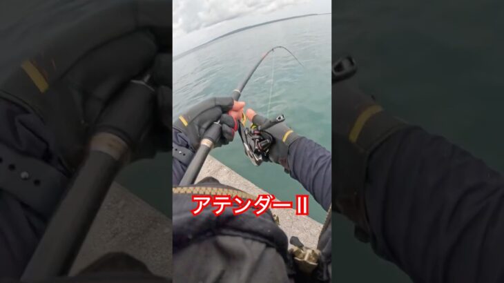 2023年 【アーガイ】#カーエー #釣り #ふかせ釣り #フカセ釣り #アウトドア #タマン #ロウニンアジ #宮古島 #沖縄釣り #shimano #daiwa #fishing #がまかつ