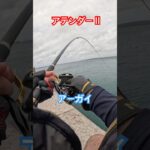 2023年 【宮古島でフカセ釣り】#カーエー #釣り #ジギング #フカセ釣り #アウトドア #タマン #ロウニンアジ #宮古島 #沖縄釣り #shimano #daiwa #fishing #がまかつ
