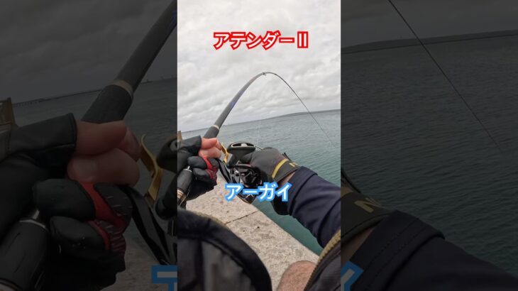 2023年 【宮古島でフカセ釣り】#カーエー #釣り #ジギング #フカセ釣り #アウトドア #タマン #ロウニンアジ #宮古島 #沖縄釣り #shimano #daiwa #fishing #がまかつ