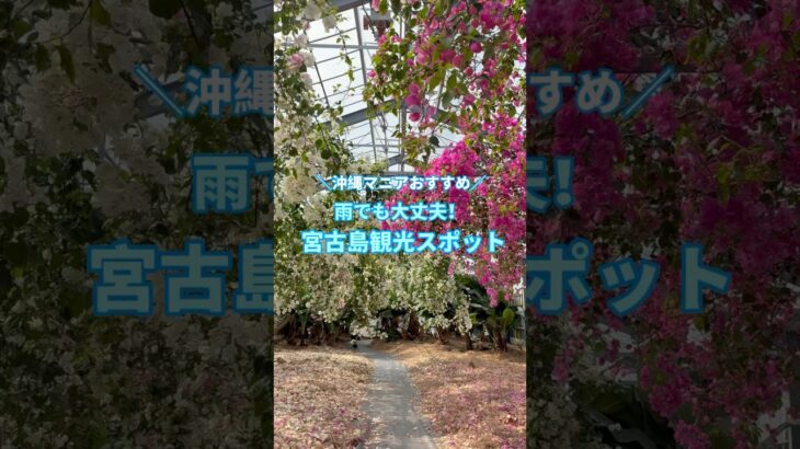 2023年 ＼沖縄マニアおすすめ／雨でも大丈夫！宮古島観光スポット#shorts #宮古島