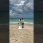 2023年 あぶない仕立て屋コーイチの宮古島旅行(ウェディングフォト撮ってきた) #shorts #旅行 #宮古島