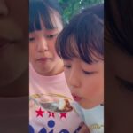 2023年 「宮古牛カレー」「アクアパッツァ」いただきます！[ブルータートル] 宮古島 #モッパン #グルメ #shorts