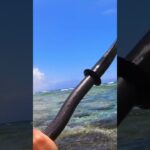 2023年 shorts #沖縄 #宮古島 #波の音 #おうちで旅気分  #海抜ゼロメートルの旅 #japan #okinawa #東平安名崎 #保良 #feathercraft #kayak #フェザークラフト
