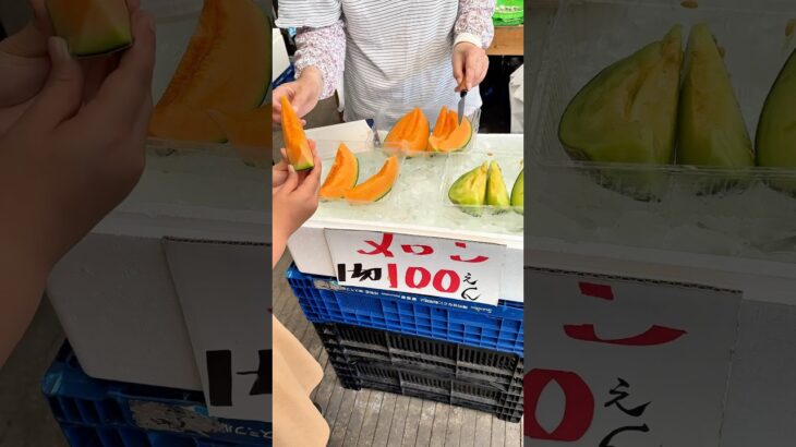 観光地値段じゃない穴場スポット#shorts #short #茨城 #子供 #面白動画 #ネコ #ガンスミスプログラム #水戸 #ねこのいる生活 #猫 #funny #cat #kids #メロン