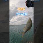2023年 【フカセでタマン先輩】#カーエー #supfishing #フカセ釣り #アウトドア #タマン #ロウニンアジ #宮古島 #沖縄釣り #shimano #daiwa #fishing #がまかつ