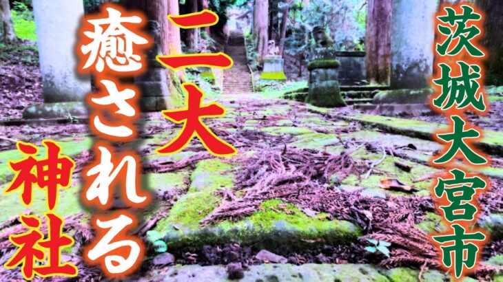 【神秘】茨城県常陸大宮で絶対行くべき二大神社とは！？