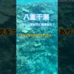 2023年 【注意喚起】八重干瀬映えるけど簡単じゃない#八重干瀬 #宮古島 #シュノーケリング #沖縄旅行 #注意喚起 #旅のリアル #海好きな人と繋がりたい #珊瑚 #映えスポット #旅行 #初心者 #海の映像