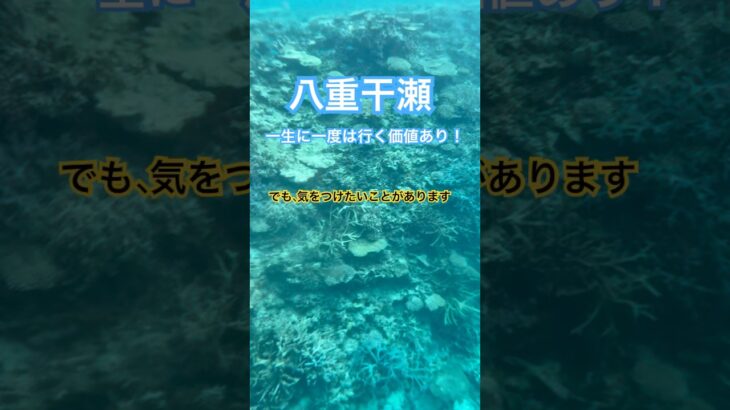 2023年 【注意喚起】八重干瀬映えるけど簡単じゃない#八重干瀬 #宮古島 #シュノーケリング #沖縄旅行 #注意喚起 #旅のリアル #海好きな人と繋がりたい #珊瑚 #映えスポット #旅行 #初心者 #海の映像