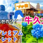 [茨城][アウトレット]夏休みにオススメ！世界一の大仏「牛久大仏」とあみプレミアムアウトレットでお買い物！クーポン情報や異世界が体験できる大仏胎内巡りまで詳しくご紹介♪