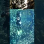 2023年 宮古島の海 | ミニ通り池　#ダイビング #旅行