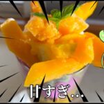 2023年 【砂糖より甘い!?】宮古島マンゴーパフェがヤバすぎた…【ずんだもん沖縄旅行】