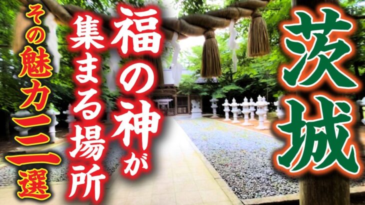 一社で七福神をお参りできる！？茨城県の不思議な神社・小幡山七福神社の魅力三選！！
