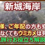 2023年 宮古島　新城海岸　観光旅行お役立ち解説動画