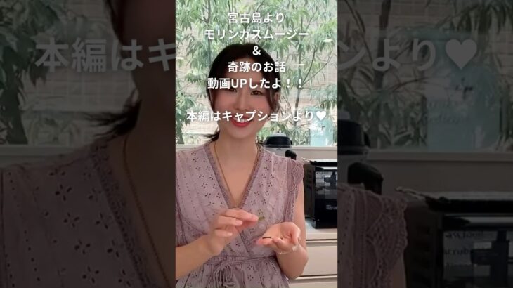2023年 宮古島ハーブモリンガスムージーと奇跡のお話♥楽しい！！美味しい♪です(^^♪　#宮古島#ナチュメディ#モリンガ#南国#スムージー#デトックス#ハーブ