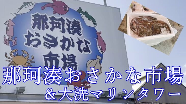 【茨城県】関東を代表する観光市場『那珂湊おさかな市場』＆『大洗マリンタワー』をご案内！