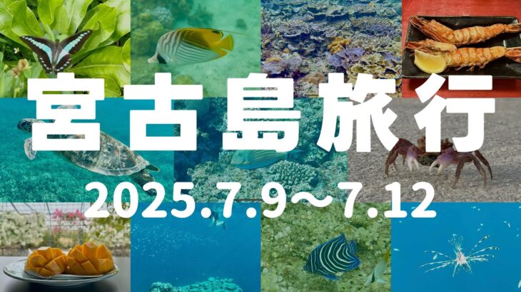 2023年 宮古島旅行