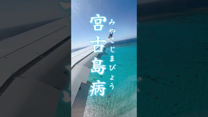 2023年 宮古島病って知っていますか？