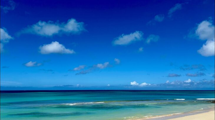 2023年 宮古島に来ました🏝️