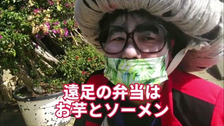 2023年 宮古島芸人　カニメガおばぁー遊びに行ってみた