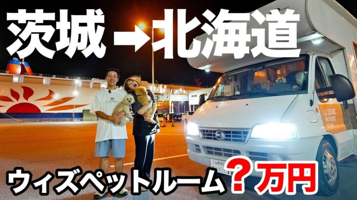 【茨城→北海道】中古キャンピングカーで初フェリー。ウィズペットルームの船内と価格まで公開｜さんふらわあ”かむい”